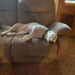 Meet your Posher, Meg